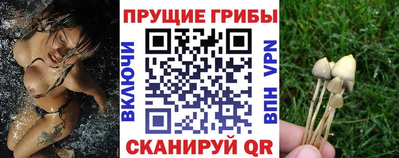 ссылка на мегу ссылка  наркошоп  Пикалёво  Псилоцибиновые грибы Magic Shrooms 